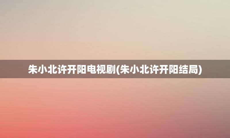 朱小北许开阳电视剧(朱小北许开阳结局)