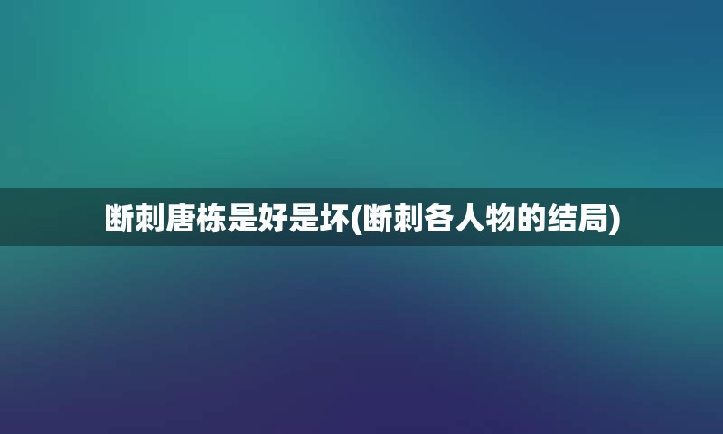 断刺唐栋是好是坏(断刺各人物的结局)