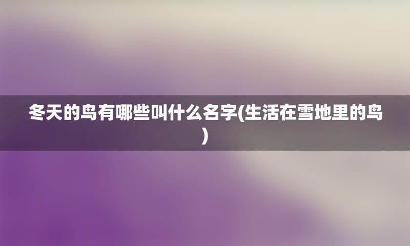 冬天的鸟有哪些叫什么名字(生活在雪地里的鸟)