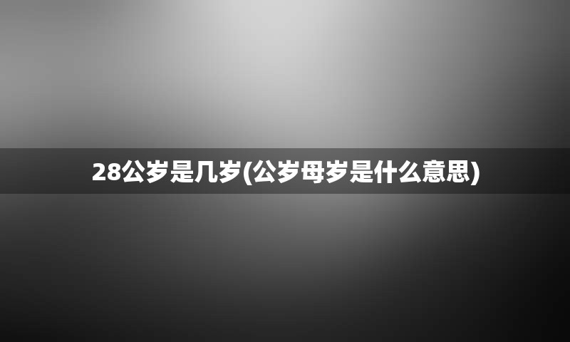 28公岁是几岁(公岁母岁是什么意思)