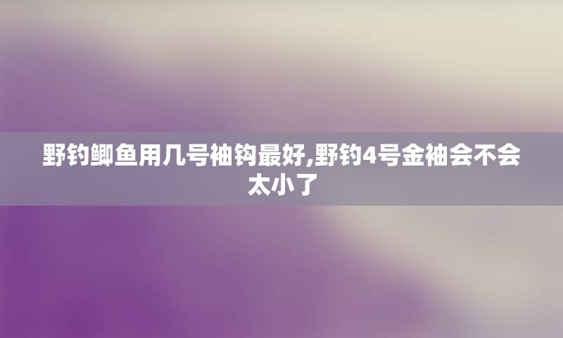 野钓鲫鱼用几号袖钩最好,野钓4号金袖会不会太小了