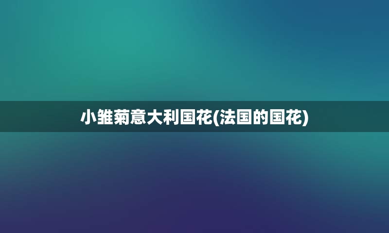 小雏菊意大利国花(法国的国花)