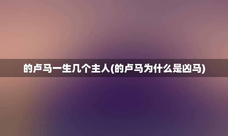 的卢马一生几个主人(的卢马为什么是凶马)