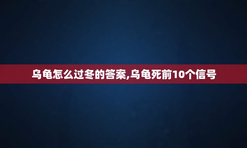 乌龟怎么过冬的答案,乌龟死前10个信号