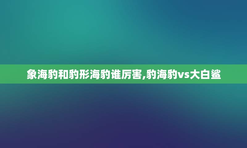 象海豹和豹形海豹谁厉害,豹海豹vs大白鲨