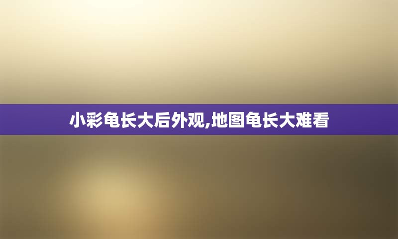 小彩龟长大后外观,地图龟长大难看