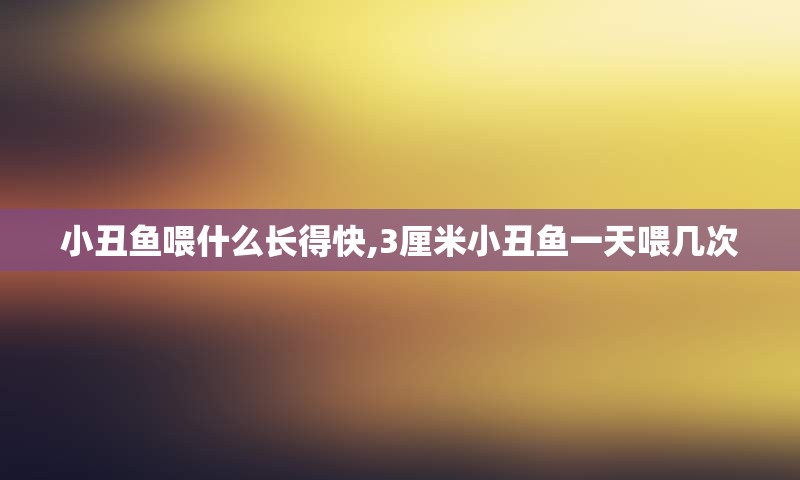 小丑鱼喂什么长得快,3厘米小丑鱼一天喂几次