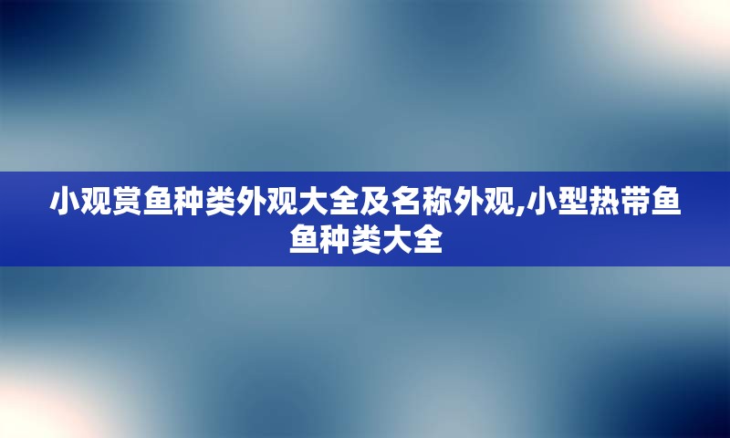 小观赏鱼种类外观大全及名称外观,小型热带鱼鱼种类大全