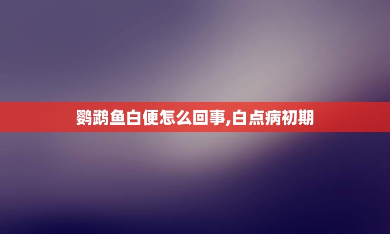 鹦鹉鱼白便怎么回事,白点病初期