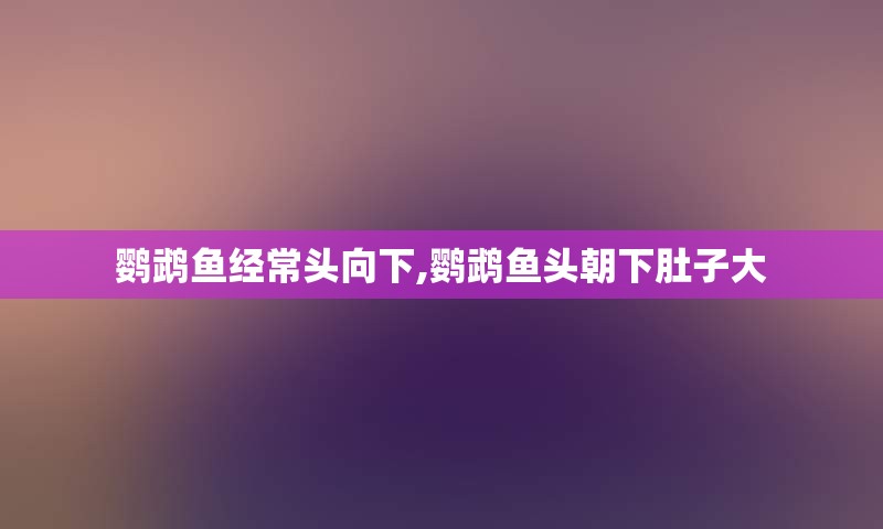 鹦鹉鱼经常头向下,鹦鹉鱼头朝下肚子大