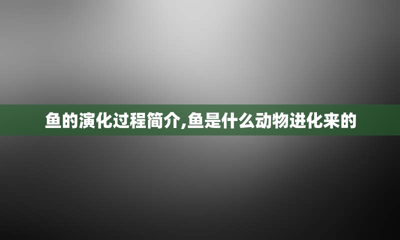 鱼的演化过程简介,鱼是什么动物进化来的
