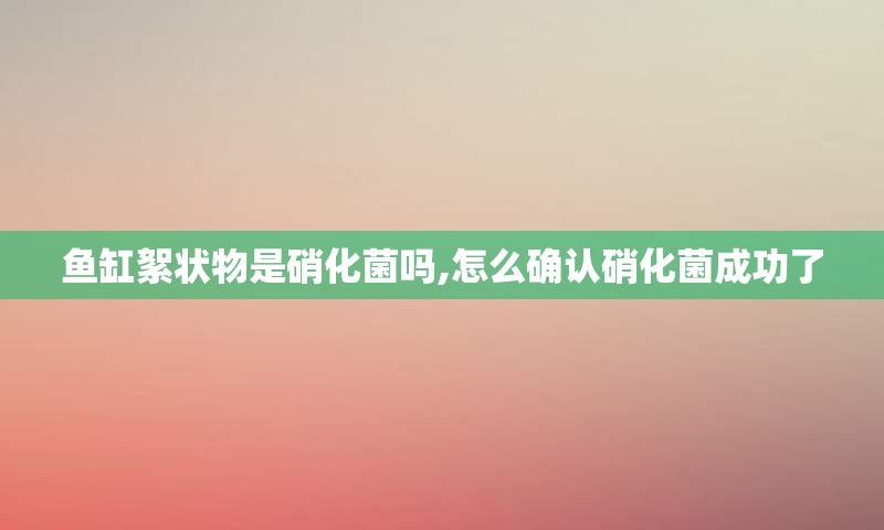 鱼缸絮状物是硝化菌吗,怎么确认硝化菌成功了