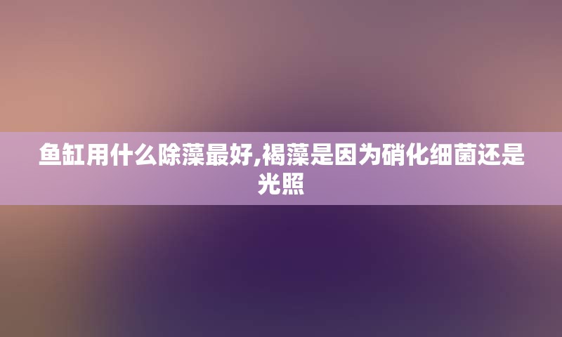 鱼缸用什么除藻最好,褐藻是因为硝化细菌还是光照