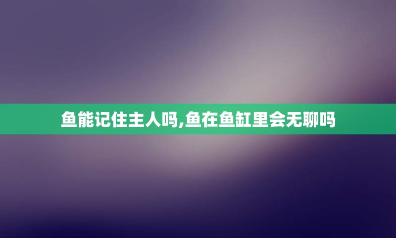 鱼能记住主人吗,鱼在鱼缸里会无聊吗
