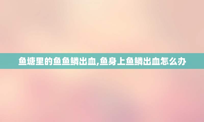 鱼塘里的鱼鱼鳞出血,鱼身上鱼鳞出血怎么办