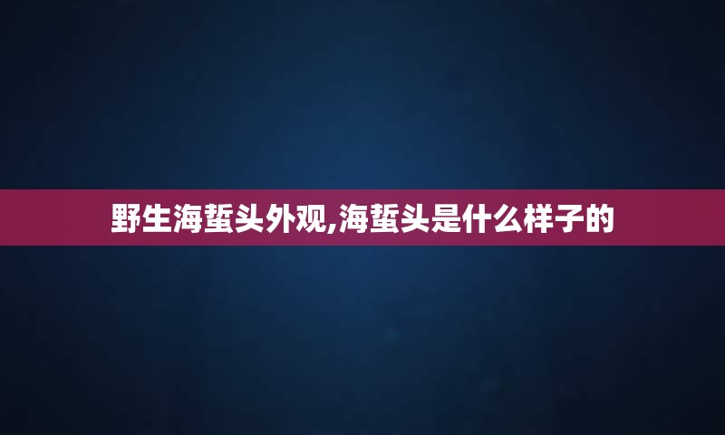 野生海蜇头外观,海蜇头是什么样子的