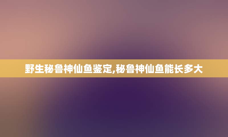 野生秘鲁神仙鱼鉴定,秘鲁神仙鱼能长多大