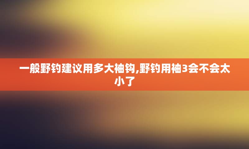 一般野钓建议用多大袖钩,野钓用袖3会不会太小了
