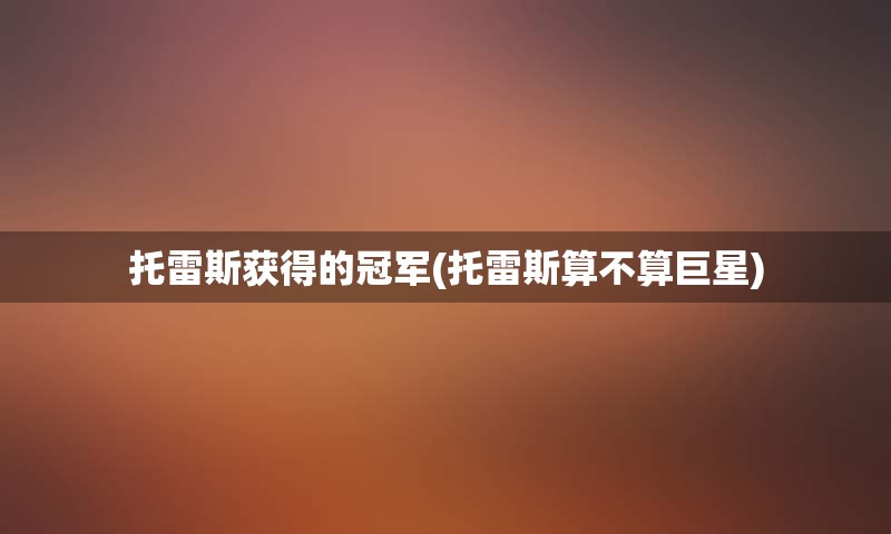 托雷斯获得的冠军(托雷斯算不算巨星)