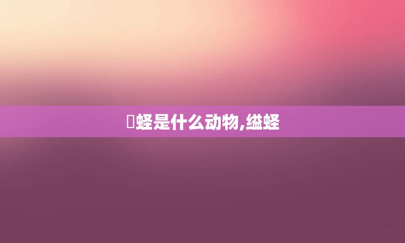 螠蛏是什么动物,缢蛏