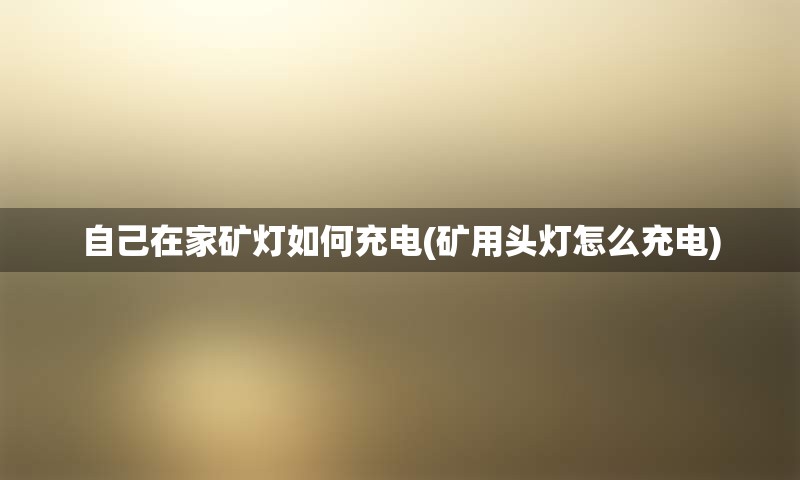自己在家矿灯如何充电(矿用头灯怎么充电)
