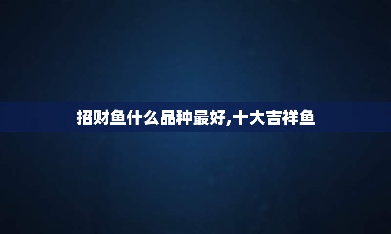 招财鱼什么品种最好,十大吉祥鱼