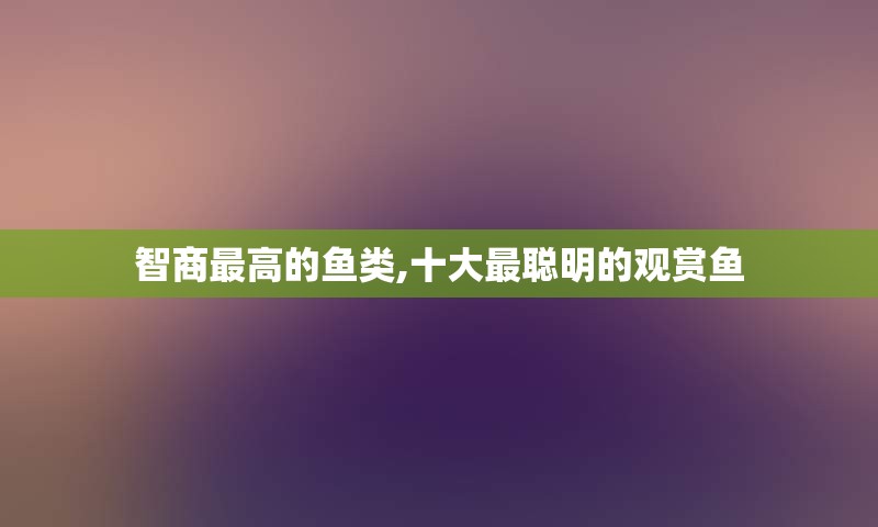 智商最高的鱼类,十大最聪明的观赏鱼