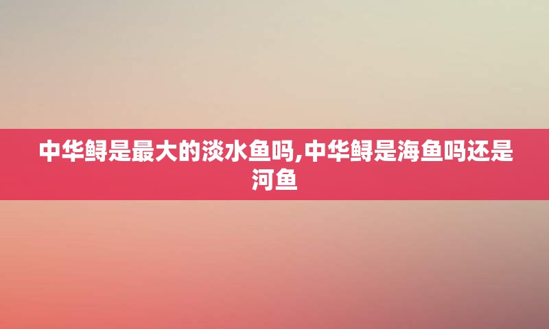 中华鲟是最大的淡水鱼吗,中华鲟是海鱼吗还是河鱼