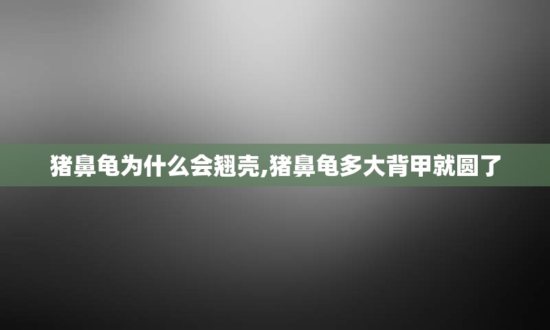 猪鼻龟为什么会翘壳,猪鼻龟多大背甲就圆了