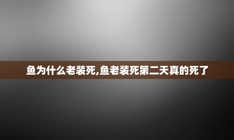 鱼为什么老装死,鱼老装死第二天真的死了