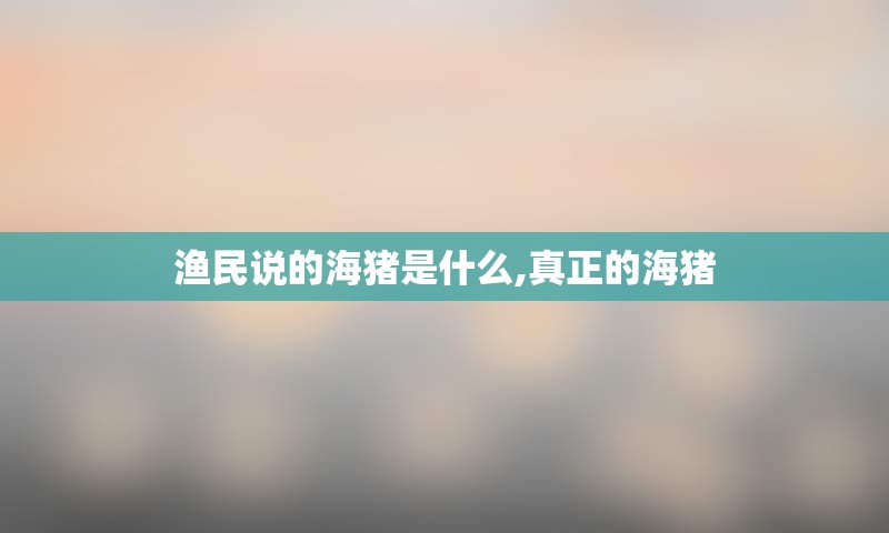 渔民说的海猪是什么,真正的海猪