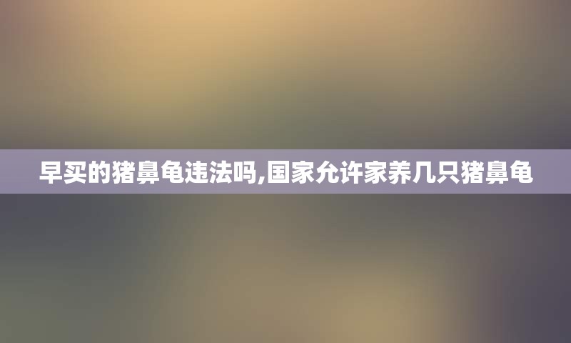 早买的猪鼻龟违法吗,国家允许家养几只猪鼻龟