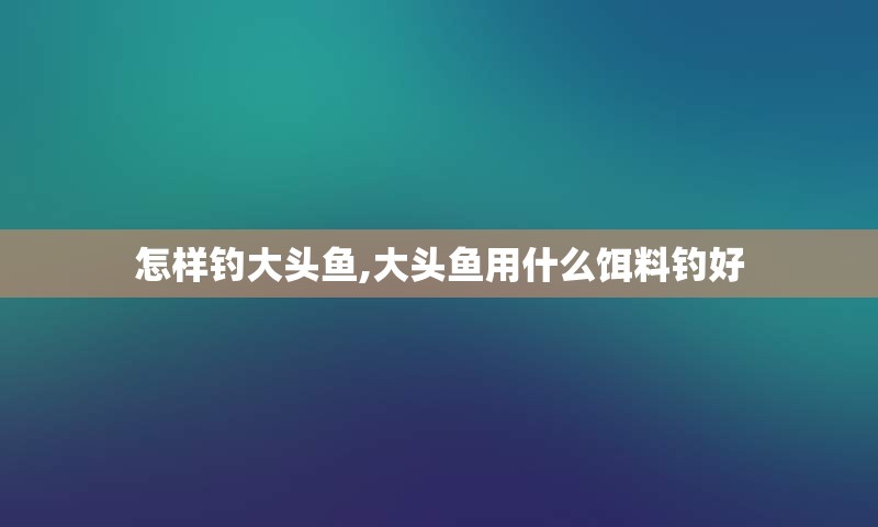 怎样钓大头鱼,大头鱼用什么饵料钓好