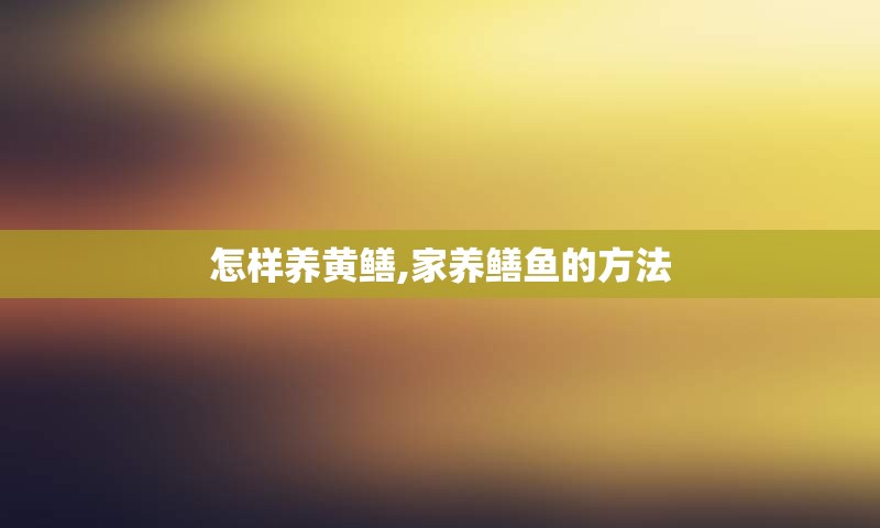 怎样养黄鳝,家养鳝鱼的方法
