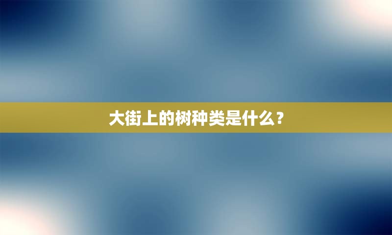 大街上的树种类是什么？