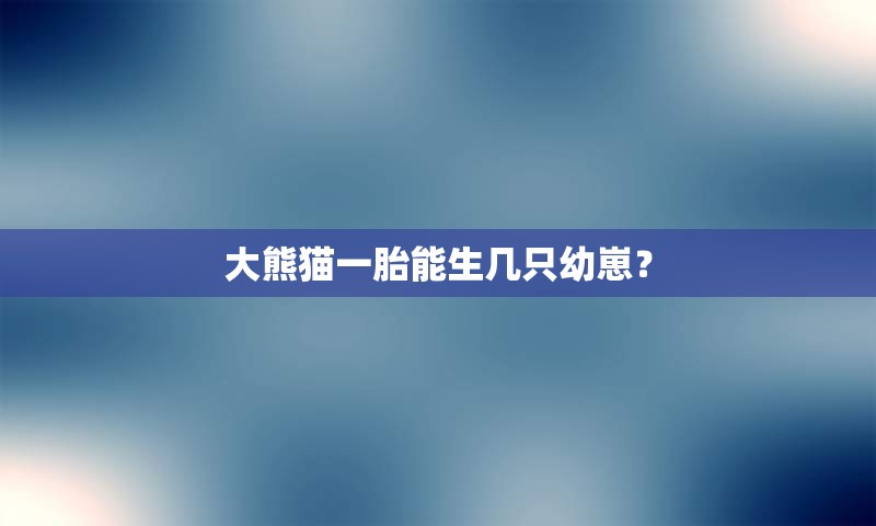 大熊猫一胎能生几只幼崽？