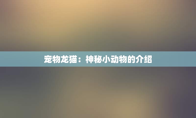 宠物龙猫：神秘小动物的介绍