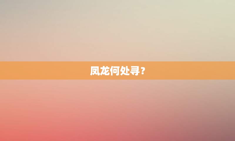 凤龙何处寻？