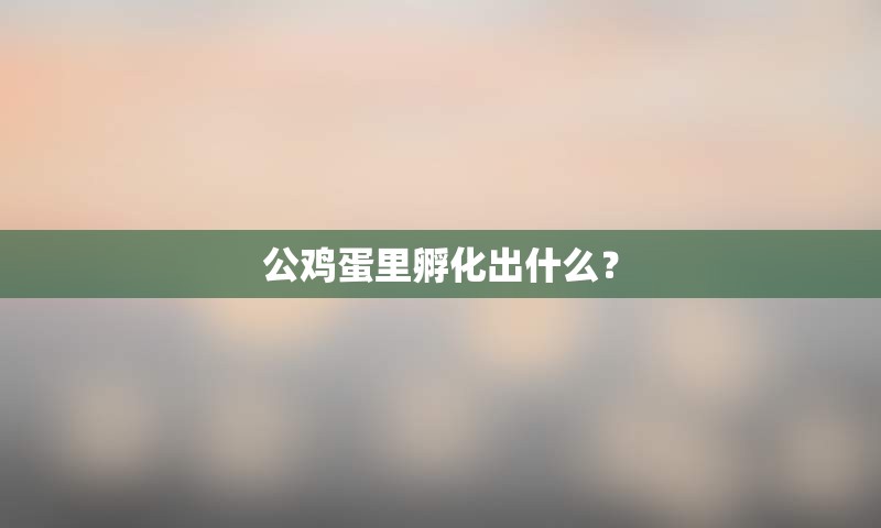公鸡蛋里孵化出什么？