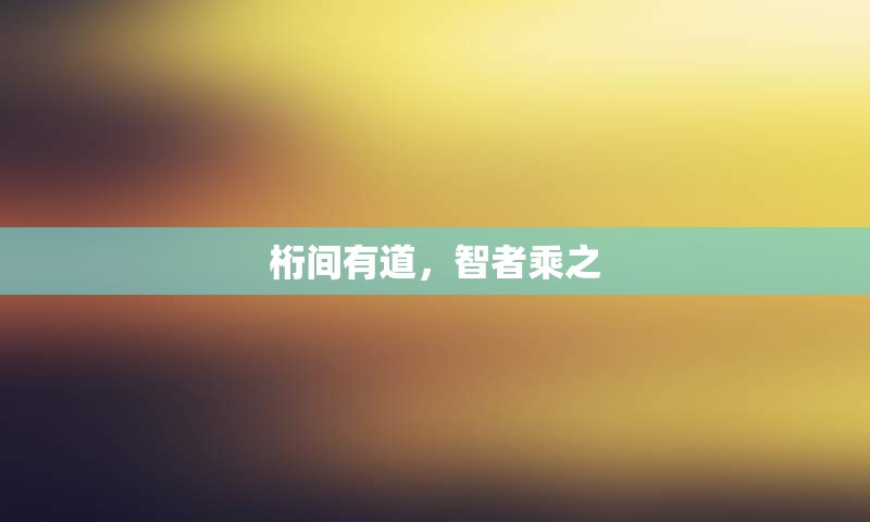 桁间有道，智者乘之