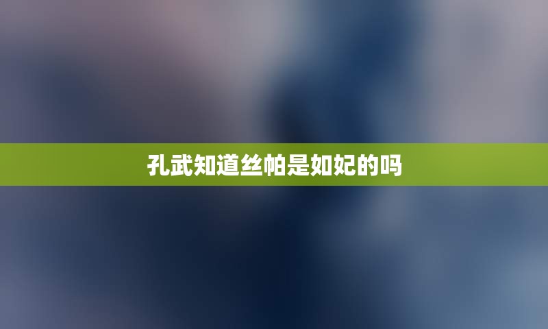 孔武知道丝帕是如妃的吗