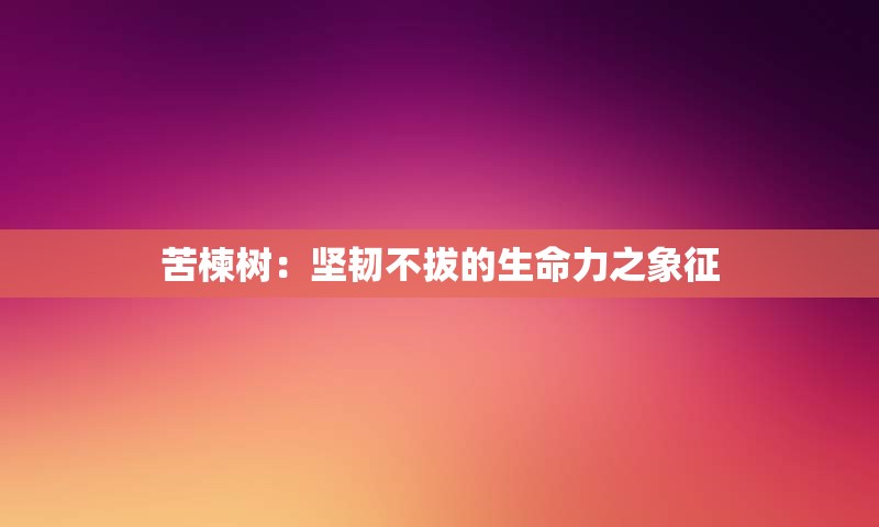 苦楝树：坚韧不拔的生命力之象征