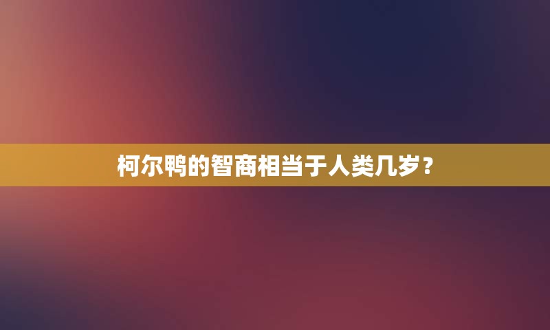 柯尔鸭的智商相当于人类几岁？