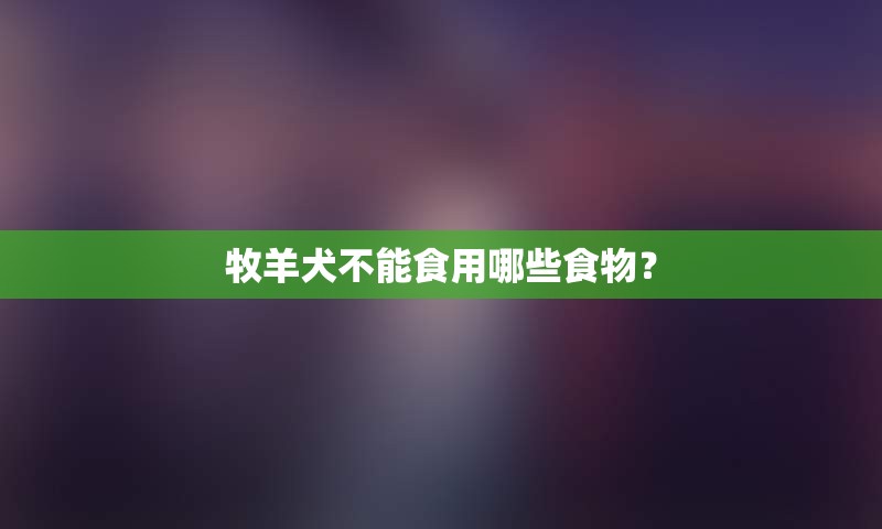 牧羊犬不能食用哪些食物？
