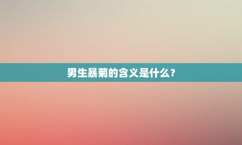 男生暴菊的含义是什么？