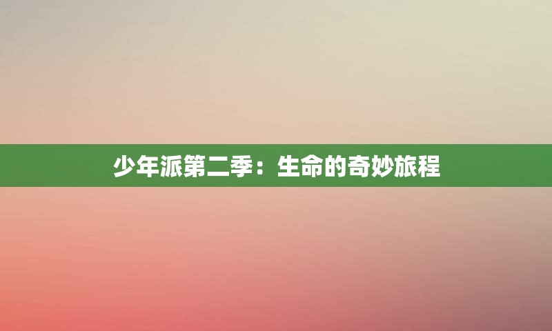 少年派第二季：生命的奇妙旅程