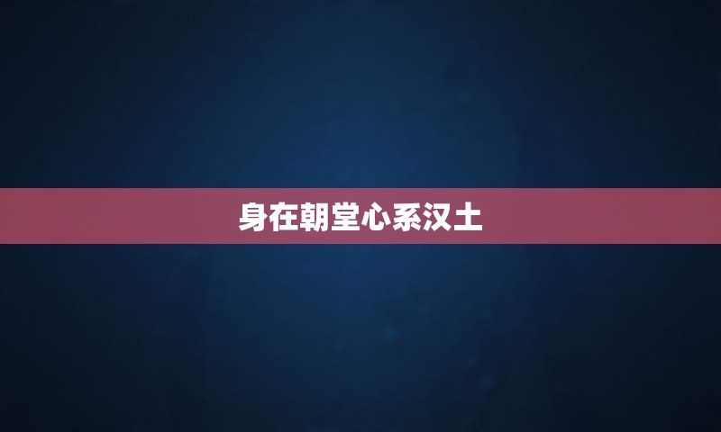 身在朝堂心系汉土
