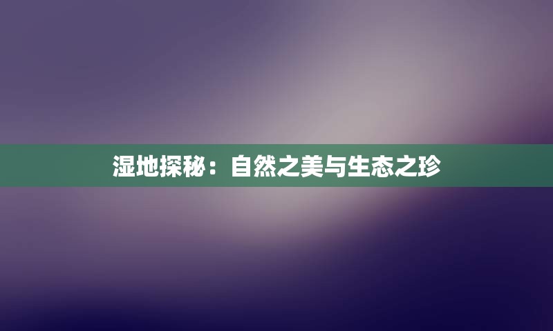湿地探秘：自然之美与生态之珍