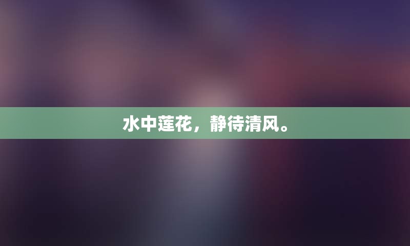 水中莲花，静待清风。