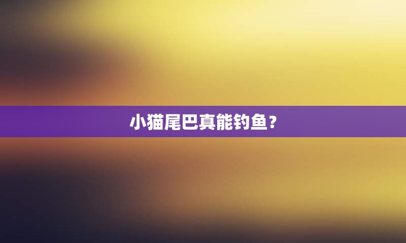 小猫尾巴真能钓鱼？
